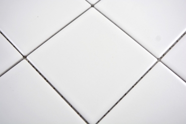 Mosaico azulejo pared cerámica blanco mate bañera revestimiento pared azulejo espejo - MOS23-0111