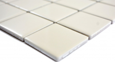 Muestra de mano mosaico azulejo beige magnolia azulejo backsplash cocina splashback brillante MOS14-1902_m