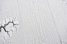 Paneles de madera autoadhesivos Revestimiento de pared Revestimiento de pared de madera Panel de pared blanco MOS170-W005 ( 9 piezas)