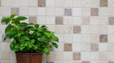 Muestra de mano mosaico cocina splashback Travertino piedra natural beige marrón Chiaro + Noche Travertino MOS43-1216_m