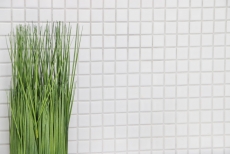Mosaico de cerámica BLANCO GLOSSY pared azulejo backsplash cocina backsplash MOS18-0102_f