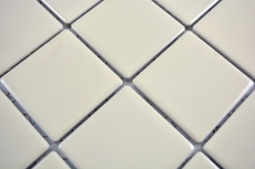 Mosaico de azulejos de color beige magnolia azulejos backsplash cocina splashback brillante MOS14-1902_f