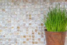 Shell mosaico de azulejos de color beige claro salpicadero de la cocina MOS150-SM203_f