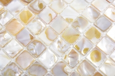 Shell mosaico de azulejos de color beige claro salpicadero de la cocina MOS150-SM203_f