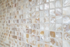 Shell mosaico de azulejos de color beige claro salpicadero de la cocina MOS150-SM203_f