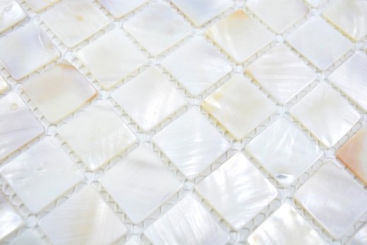 Shell mosaico de nácar blanco beige salpicadero de la cocina MOS150-SM2525_f