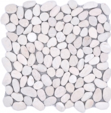 Mosaico azulejo río guijarro piedra guijarro guijarro arqueado blanco crema MOS30-0102_f