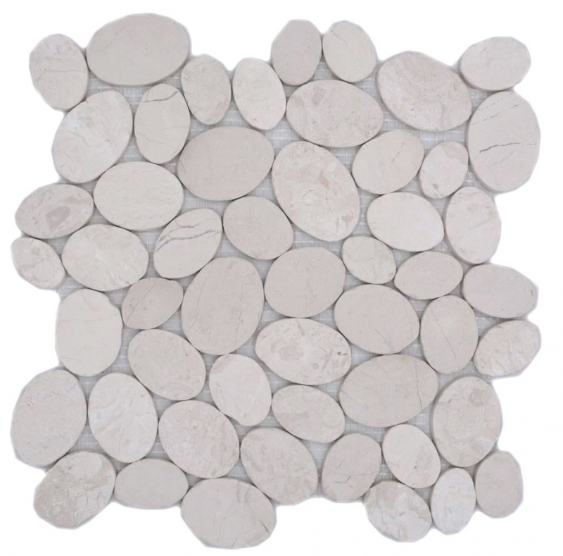 Muestra de mano guijarro de río guijarro piedra suelo corte plano blanco crema MOS30-0101_m