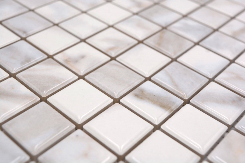 Muestra de mano Jasba Agrob Buchtal Fresh Marble & More mosaico gres cerámico aspecto carrara blanco brillante aspecto mármol cocina baño ducha MOSJBMM17_m