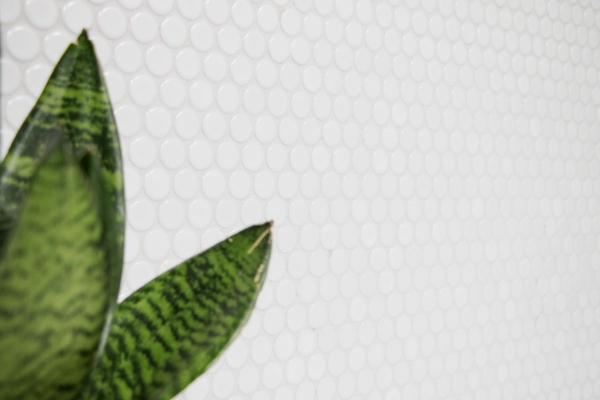 Botón de mosaico LOOP redondo mosaico blanco mate pared cocina ducha BAD MOS10-0111