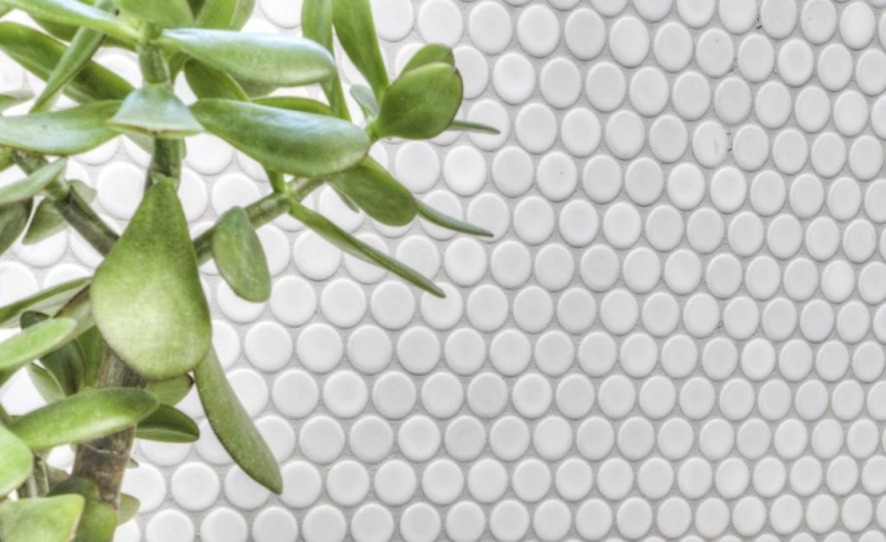 Botón de mosaico LOOP redondo mosaico blanco mate pared cocina ducha BAD MOS10-0111
