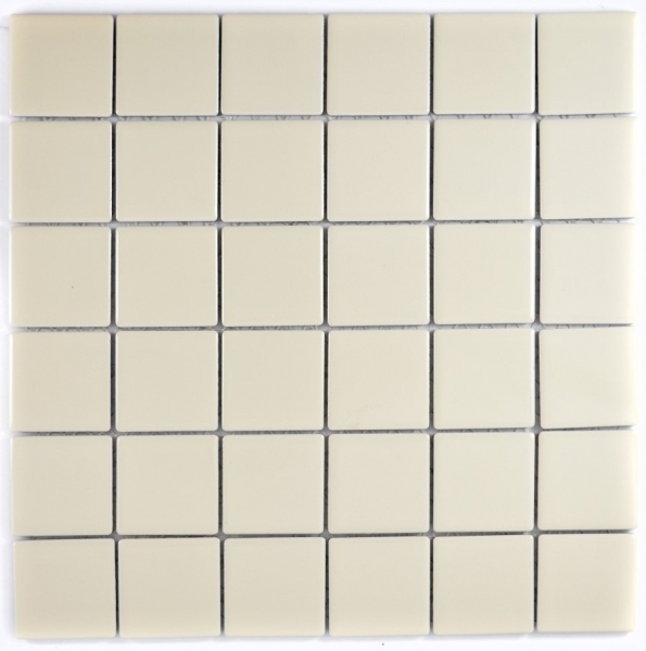 Muestra de mano mosaico azulejo beige magnolia azulejo backsplash cocina splashback brillante MOS14-1902_m