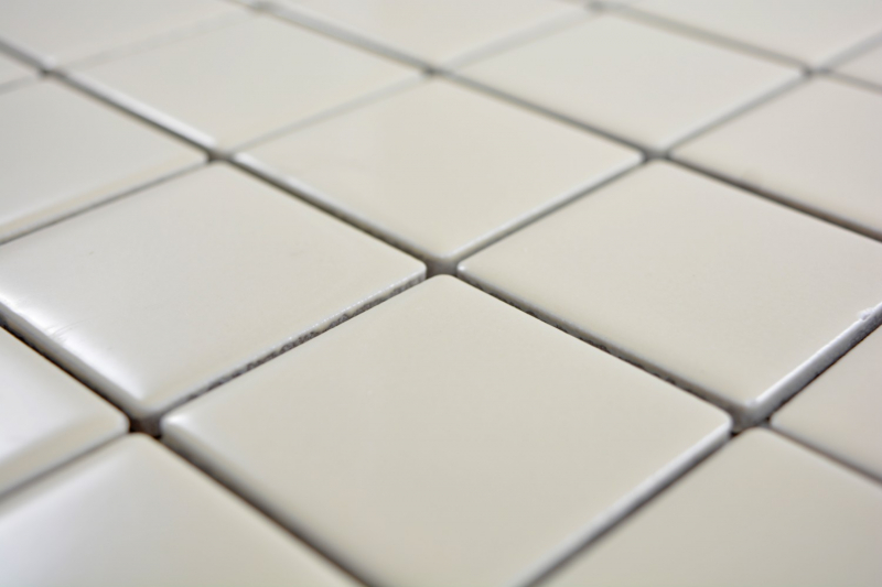 Muestra de mano mosaico azulejo beige magnolia azulejo backsplash cocina splashback brillante MOS14-1902_m