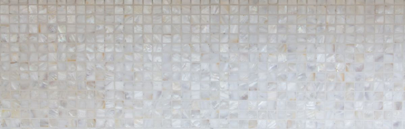Madre de la perla mosaico concha mosaico blanco beige ducha pared MOS150-SM2525