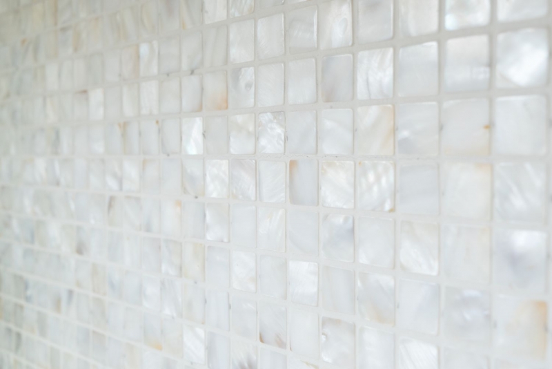 Madre de la perla mosaico concha mosaico blanco beige ducha pared MOS150-SM2525