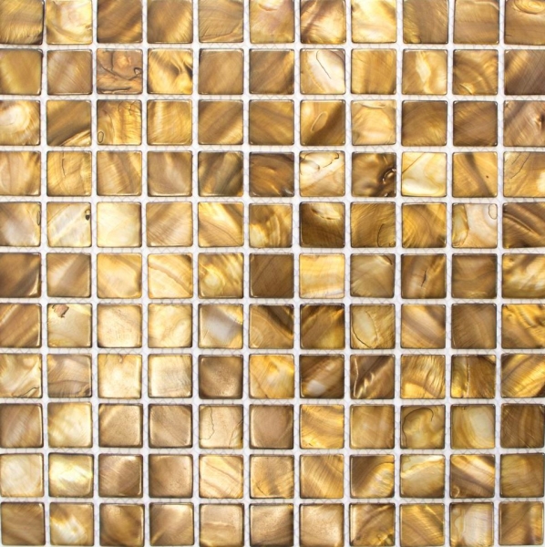 Muestra de mano mosaico azulejo concha beige marrón pared azulejo baño MOS150-SM2569_m