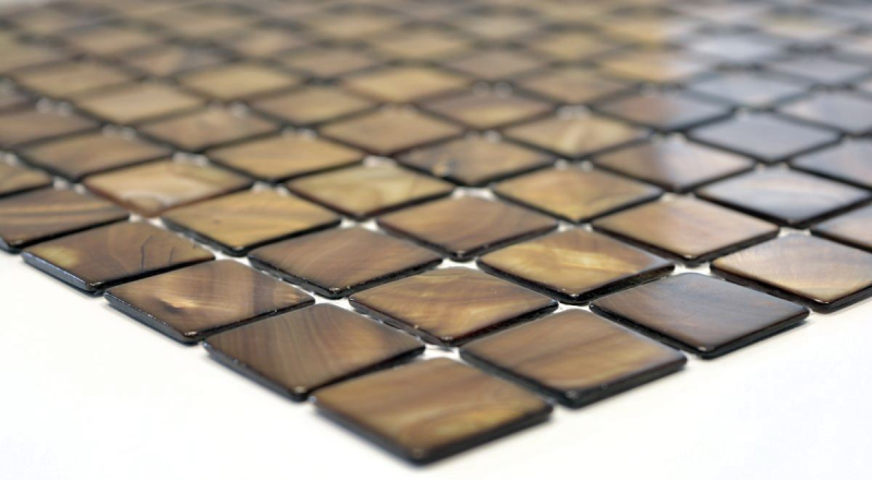 Muestra de mano mosaico azulejo concha beige marrón pared azulejo baño MOS150-SM2569_m