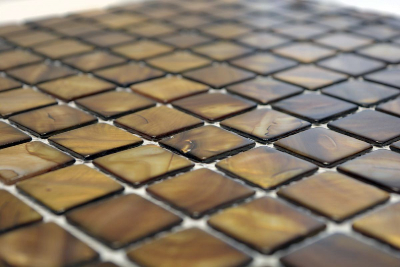 Muestra de mano mosaico azulejo concha beige marrón pared azulejo baño MOS150-SM2569_m