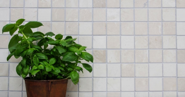 Mármol mosaico de azulejos de piedra natural marfil crema claro beige backsplash pared azulejos cocina cuarto de baño - MOS36-0106