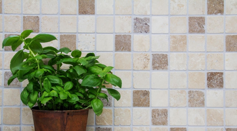 Travertino mosaico azulejos terraza pared suelo piedra natural medio beige crema marrón pared azulejo cocina splashback baño azulejo - MOS43-1216