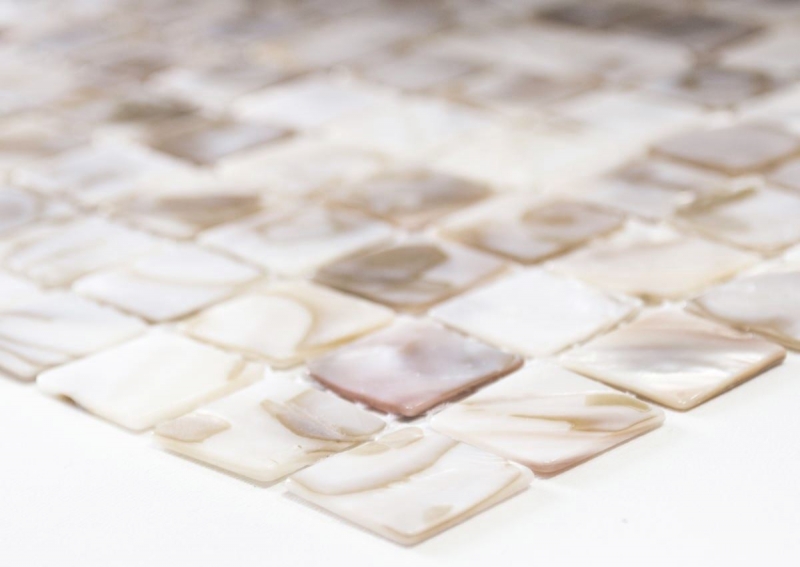 Muestra de mano azulejo mosaico concha beige claro azulejo de pared azulejo de baño MOS150-SM203_m