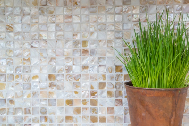 Muestra de mano azulejo mosaico concha beige claro azulejo de pared azulejo de baño MOS150-SM203_m