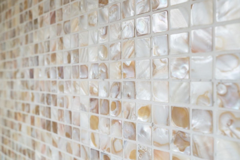 Shell mosaico de azulejos de color beige claro salpicadero de la cocina MOS150-SM203_f