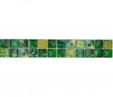 Mosaico frontera frontera vidrio mosaico animal mundo pavo real verde oscuro verde claro amarillo MOS68BOR-WL84