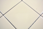 Muestra de mano azulejo mosaico cerámica beige brillante azulejo de baño WC MOS23-1201_m