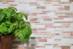 Muestra de mano mosaico azulejo mármol piedra natural beige rojo ladrillo mosaico Biancone Rosso MOS40-0225_m