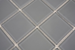 Muestra de mano azulejo mosaico Mosaico de vidrio translúcido Gris cristal BAÑO WC Cocina PARED MOS69-0202_m