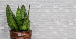 Muestra de mano mosaico azulejo azulejo backsplash translúcido blanco ladrillo vidrio mosaico cristal piedra blanco MOS87-0111_m