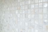 Muestra de mano mosaico azulejo concha permut pared azulejo baño MOS150-SM2525_m