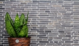 Muestra de mano mosaico azulejo mármol piedra natural negro Ladrillo Nero Marquina MOS40-0125_m