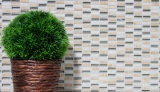 Muestra de mano mosaico azulejo azulejo backsplash translúcido beige varillas vidrio mosaico cristal piedra beige MOS87-1412_m