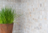Shell mosaico de nácar blanco beige salpicadero de la cocina MOS150-SM2525_f