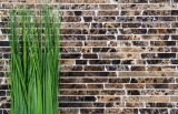 Mosaico de mármol piedra natural Ladrillo Impala marrón flameado MOS40-1304_f